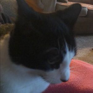 Meet your Posher, Travis